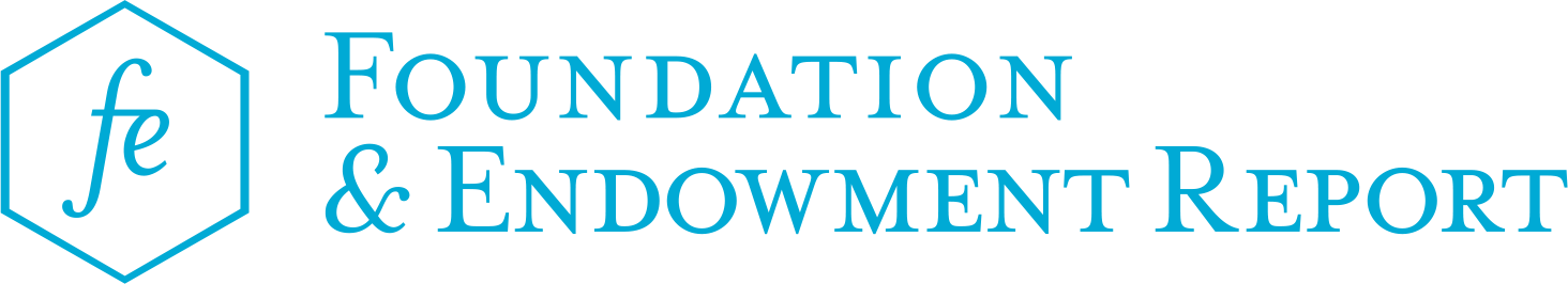 Logo for Foundation and Endowment report.