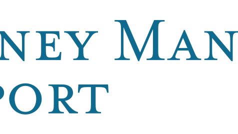 Logo for Money Management Report.