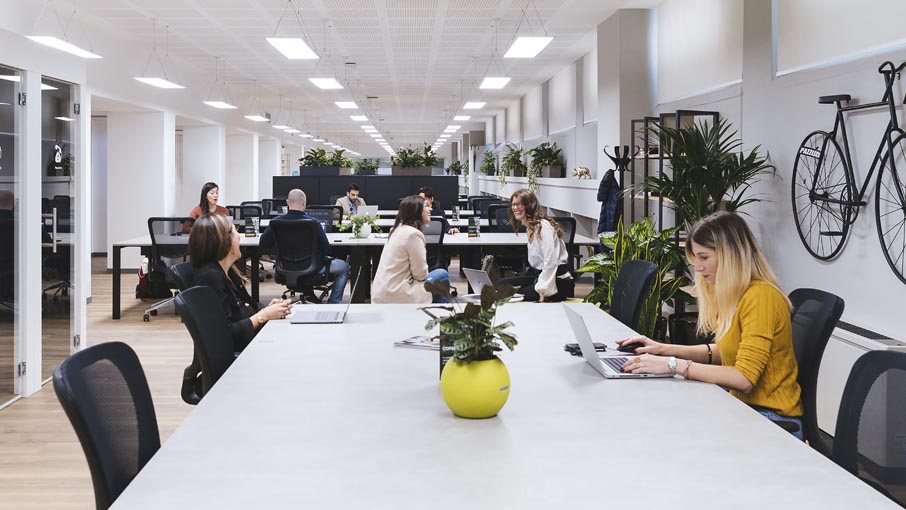 Workers in an open office plan, with lots of plants.