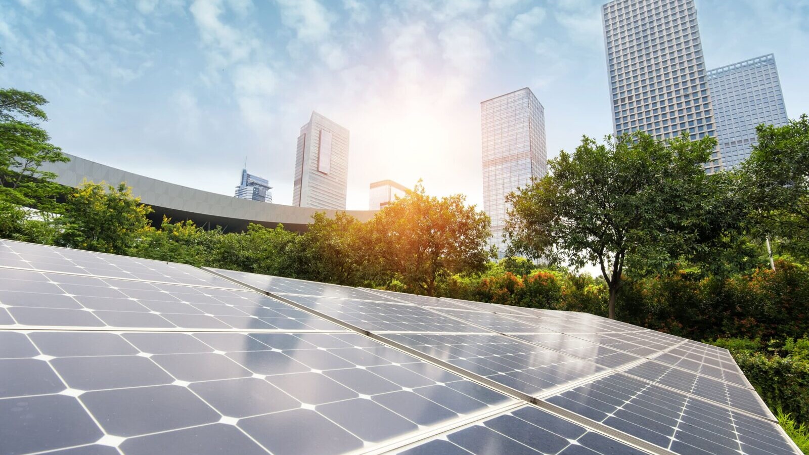 Solar panels, with a city skyscrape in the backgrounds.