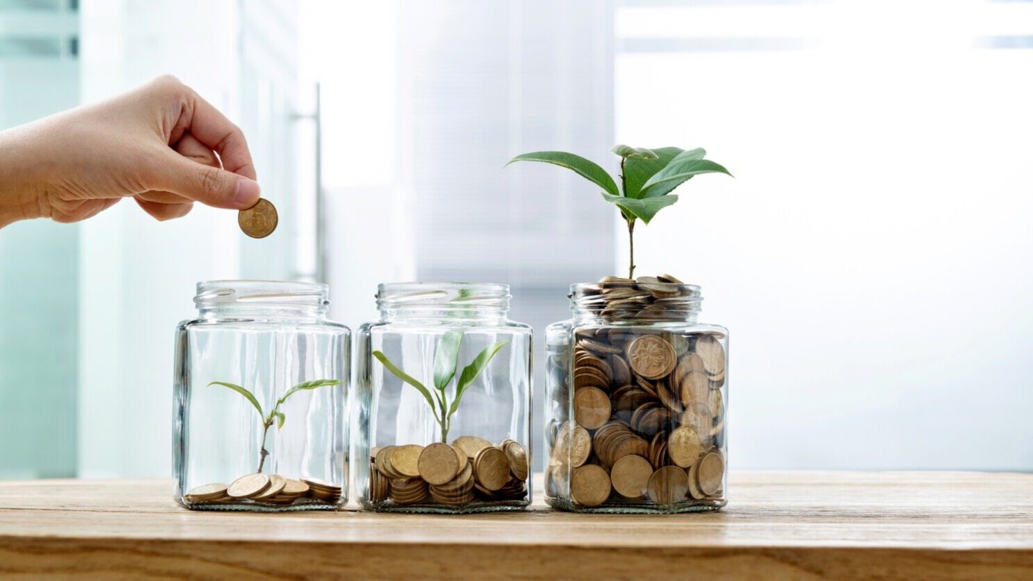 Hand dropping penny's into jars with plant sprouts.