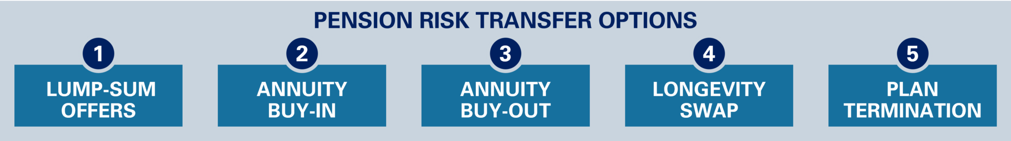 Pension Risk Transfer Strategies: Back to Basics
