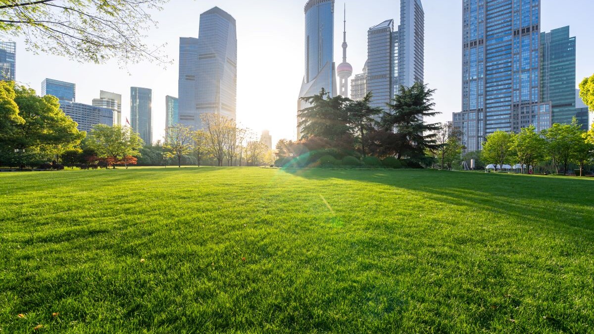 city skyline with park