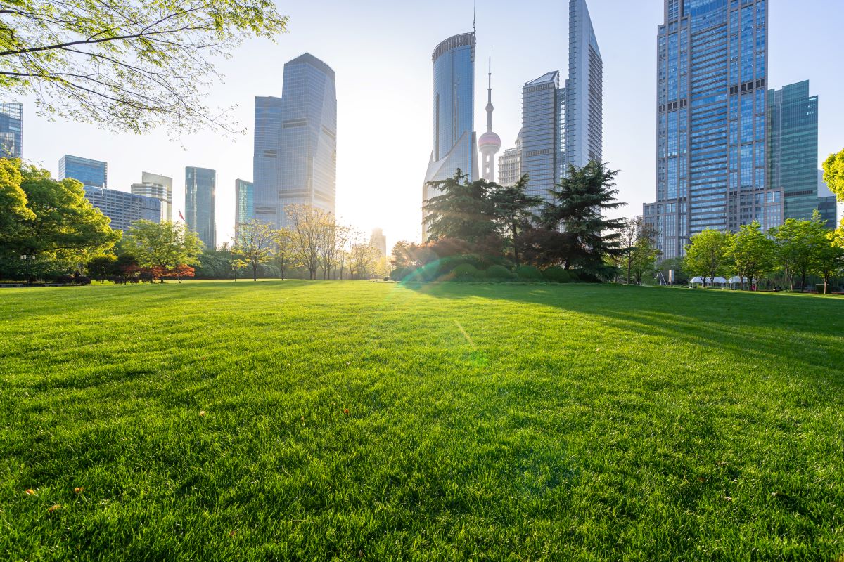 city skyline with park