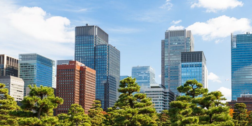 skyscrapers behind green trees in park