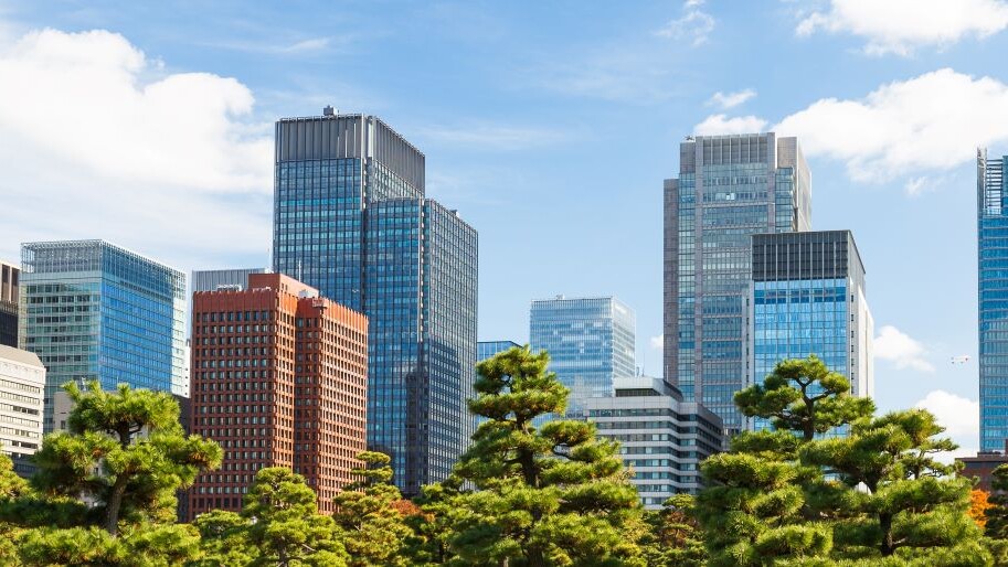 skyscrapers behind green trees in park